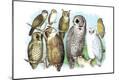 Premium Giclee Print