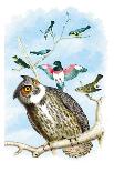 Hoot of Owls-Theodore Jasper-Art Print