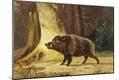Giclee Print