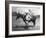 Theodore Roosevelt Dressed as Cowboy next to Horse Photograph - NA-Lantern Press-Framed Art Print