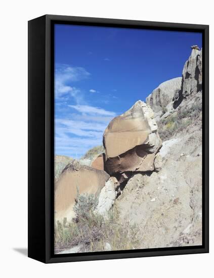 Theodore Roosevelt National Park-Gordon Semmens-Framed Premier Image Canvas