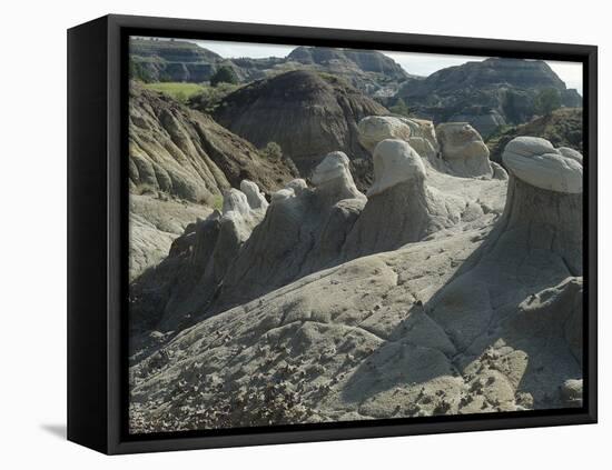 Theodore Roosevelt National Park-Gordon Semmens-Framed Premier Image Canvas