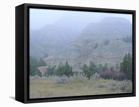 Theodore Roosevelt National Park-Gordon Semmens-Framed Premier Image Canvas