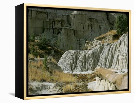 Theodore Roosevelt National Park-Gordon Semmens-Framed Premier Image Canvas