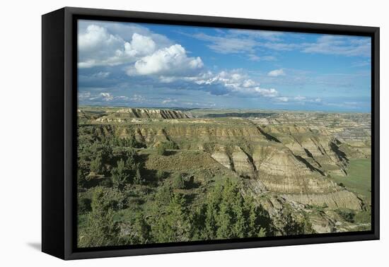 Theodore Roosevelt National Park-Gordon Semmens-Framed Premier Image Canvas