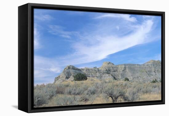 Theodore Roosevelt National Park-Gordon Semmens-Framed Premier Image Canvas