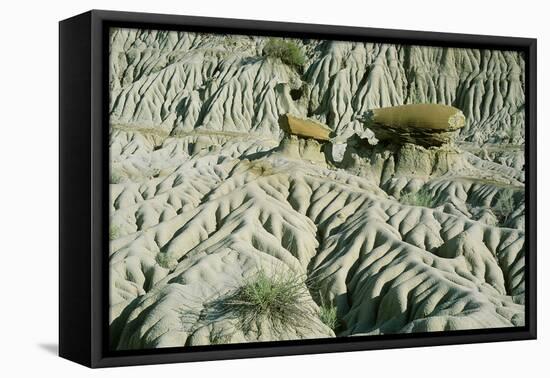 Theodore Roosevelt National Park-Gordon Semmens-Framed Premier Image Canvas