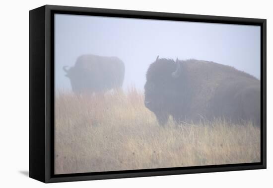 Theodore Roosevelt National Park-Gordon Semmens-Framed Premier Image Canvas