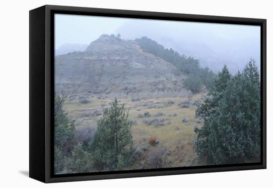 Theodore Roosevelt National Park-Gordon Semmens-Framed Premier Image Canvas