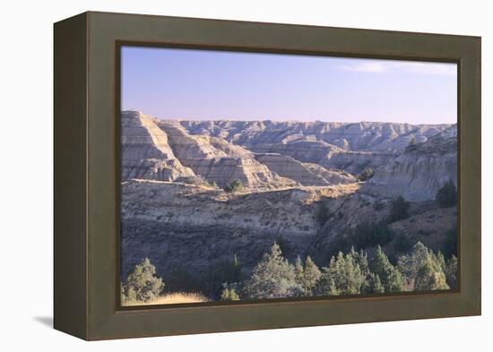 Theodore Roosevelt National Park-Gordon Semmens-Framed Premier Image Canvas