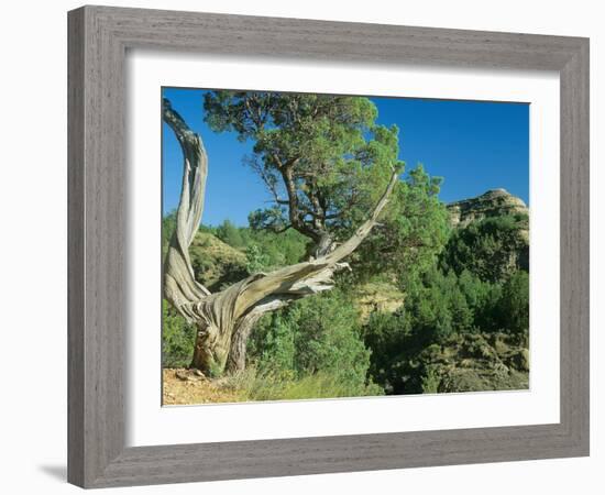 Theodore Roosevelt National Park-Gordon Semmens-Framed Photographic Print