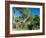 Theodore Roosevelt National Park-Gordon Semmens-Framed Photographic Print