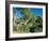 Theodore Roosevelt National Park-Gordon Semmens-Framed Photographic Print