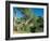 Theodore Roosevelt National Park-Gordon Semmens-Framed Photographic Print