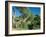 Theodore Roosevelt National Park-Gordon Semmens-Framed Photographic Print