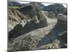 Theodore Roosevelt National Park-Gordon Semmens-Mounted Photographic Print