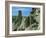 Theodore Roosevelt National Park-Gordon Semmens-Framed Photographic Print