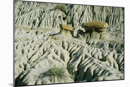 Theodore Roosevelt National Park-Gordon Semmens-Mounted Photographic Print