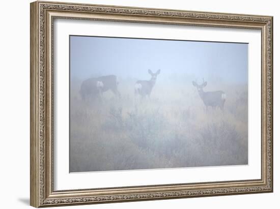 Theodore Roosevelt National Park-Gordon Semmens-Framed Photographic Print