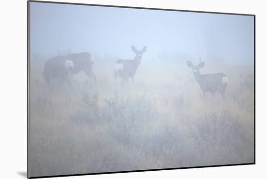 Theodore Roosevelt National Park-Gordon Semmens-Mounted Photographic Print