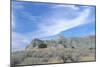 Theodore Roosevelt National Park-Gordon Semmens-Mounted Photographic Print