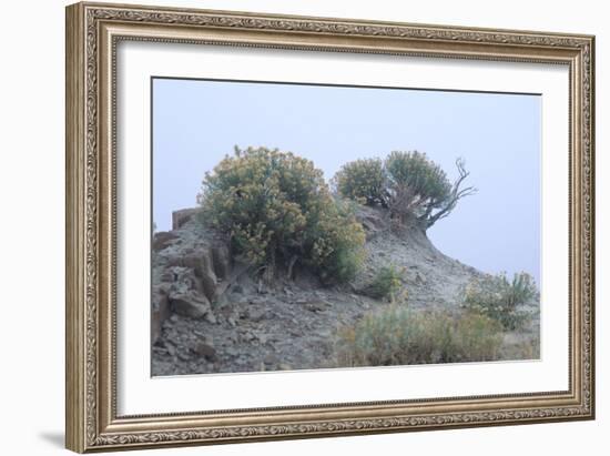 Theodore Roosevelt National Park-Gordon Semmens-Framed Photographic Print