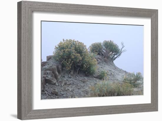 Theodore Roosevelt National Park-Gordon Semmens-Framed Photographic Print