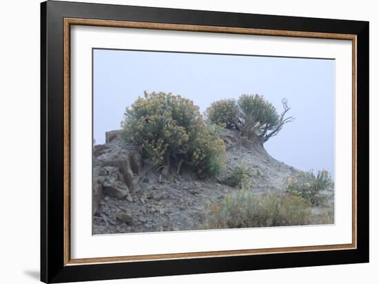 Theodore Roosevelt National Park-Gordon Semmens-Framed Photographic Print