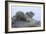 Theodore Roosevelt National Park-Gordon Semmens-Framed Photographic Print