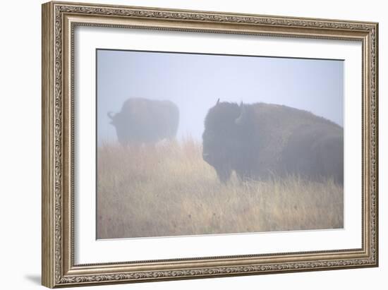 Theodore Roosevelt National Park-Gordon Semmens-Framed Photographic Print