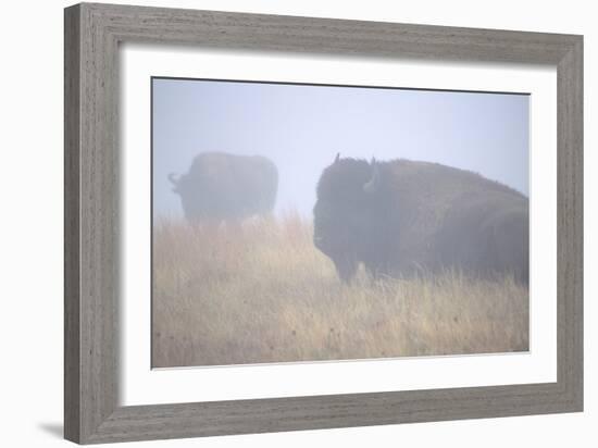 Theodore Roosevelt National Park-Gordon Semmens-Framed Photographic Print