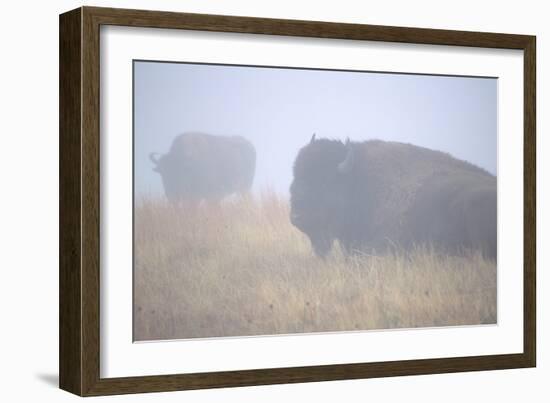 Theodore Roosevelt National Park-Gordon Semmens-Framed Photographic Print