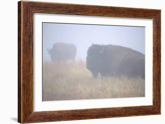 Theodore Roosevelt National Park-Gordon Semmens-Framed Photographic Print