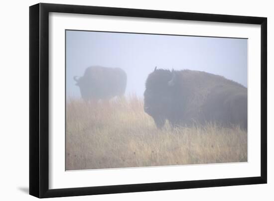 Theodore Roosevelt National Park-Gordon Semmens-Framed Photographic Print