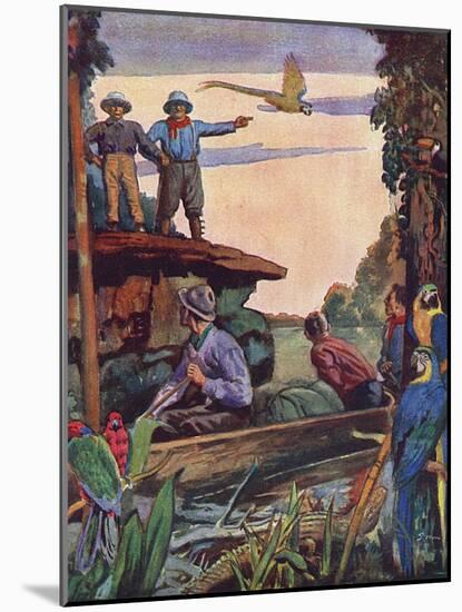 Theodore Roosevelt on the Roosevelt River in Brazil-null-Mounted Art Print