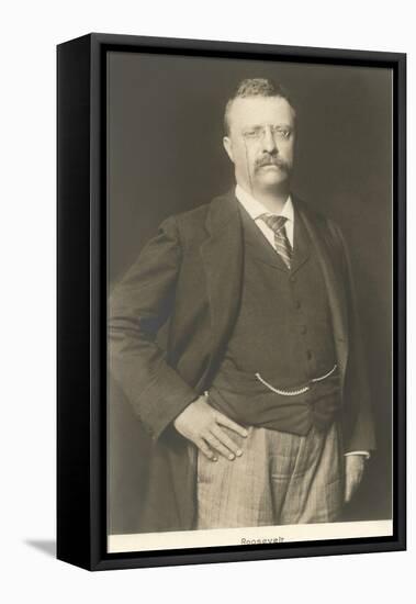 Theodore Roosevelt-null-Framed Stretched Canvas