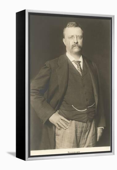 Theodore Roosevelt-null-Framed Stretched Canvas