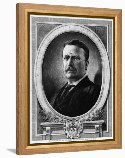 Theodore Roosevelt-null-Framed Stretched Canvas