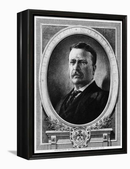 Theodore Roosevelt-null-Framed Stretched Canvas