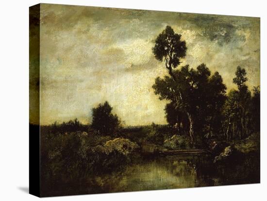 Stretched Canvas Print, , large