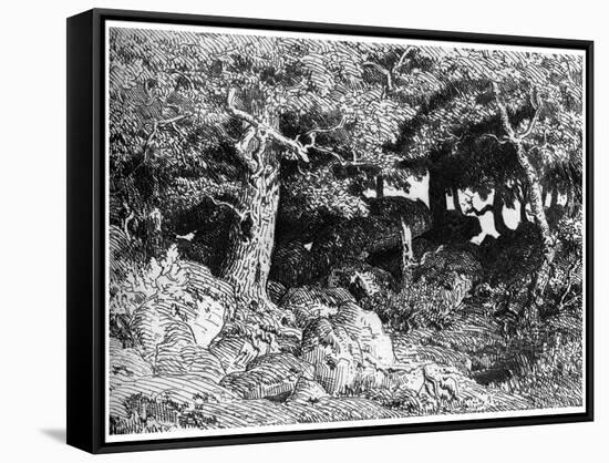 Stretched Canvas Print, , large