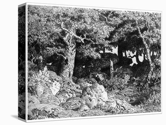 Stretched Canvas Print, , large