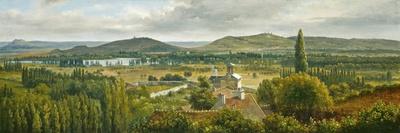 Farm in the Landes, 1844-67 (Oil on Canvas)-Theodore Rousseau-Giclee Print