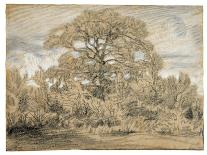 Clearing in the Woods of Fontainebleau-Théodore Rousseau-Giclee Print