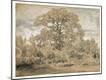 Giclee Print
