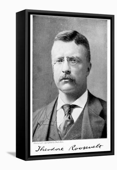 Theodore 'Teddy' Roosevelt, American President, 1901-1909-null-Framed Premier Image Canvas