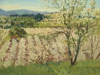 Prune Orchard, Los Gatos, California-Theodore Wores-Giclee Print
