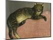Giclee Print