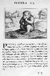 Prophecy Figure IX from Prognosticatio Eximii Doctoris Paracelsi, 1536-Theophrastus Bombastus von Hohenheim Paracelsus-Giclee Print