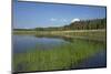 Therbrenner See Lake with Rushes and Reet, a Beach Lake on the Western Beach of Darss Peninsula-Uwe Steffens-Mounted Photographic Print